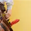 Handyman repair service in Albany, NY for home fixes and improvements
